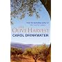 The Olive Harvest
