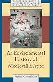 Unmarriages : women, men, and sexual unions in the Middle Ages