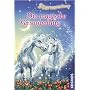 Sternenschweif 17. Die magische Versammlung von Linda Chapman