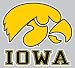 Iowa Hawkeyes 4 X 4 Square Decal Gold