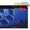 The Art of Finding Nemo