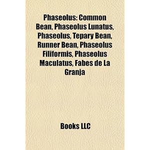 Phaseolus: Common Bean, Phaseolus Lunatus, Phaseolus, Tepary Bean, Runner Bean, Phaseolus Filiformis, Phaseolus Maculatus, Fabes de La Granja