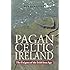 Pagan Celtic Ireland: The Enigma of the Irish Iron Age