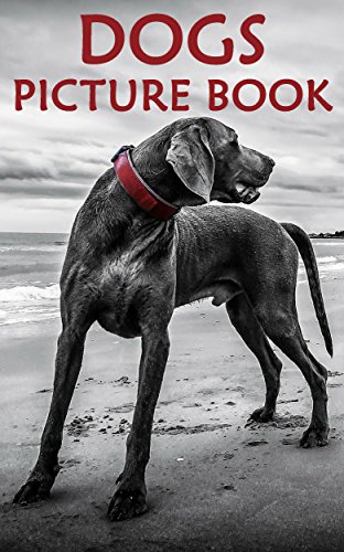 Kids Books: Dog Picture Books for Kids [kids picture book], by Kevin Smith