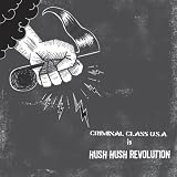 Criminal Class Usa Is