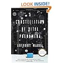 A Constellation of Vital Phenomena: A Novel