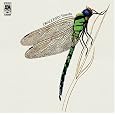 Dragonfly by Strawbs