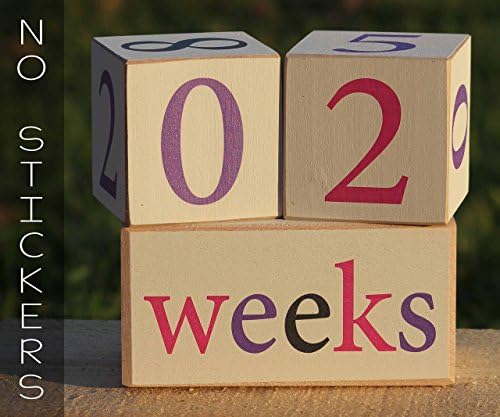 Baby Age Blocks, NO STICKERS! Photography prop for baby. Pregnancy Announcement
