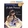 A Little Princess (A Stepping Stone Book)