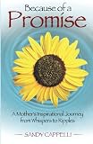 Because of a Promise: A Mothers Spiritual Journey from Whispers to Ripples