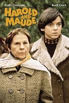 51l1TMHfHXL. SL210  Harold and Maude...