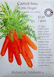 Certified Organic Carrot Little Fingers Heirloom Seeds 750 Seeds