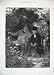 1884 Fine Art Old Men Country Bench Trees Flowers Cat