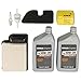 Kohler 20 789 01-S Engine Maintenance Kit