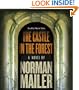 The Castle in the Forest