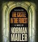 The Castle in the Forest: A Novel