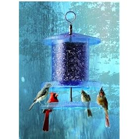 All Weather Feeder Clear 6 Quart Feeder by Songbird Essentials