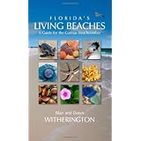 Florida's Living Beaches: A Guide for the Curious Beachcomber