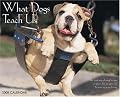 What Dogs Teach Us 2008 Calendar