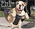 What Dogs Teach Us 2008 Calendar