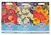 Mr Fothergill's Seeds Nasturtium Trailing Collection