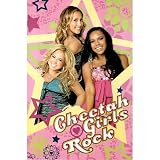 (24x36) Cheetah Girls Rock (Group) TV Poster Print