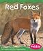 Red Foxes (Grassland Animals)