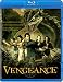 Search : Vengeance [Blu-ray]