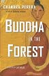 Buddha in the Forest
