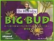 Dr. Hornby's Liquid Big Bud - 1L
