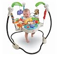 Fisher-Price Luv U Zoo Jumperoo