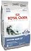 Royal Canin Dry Cat Food, Indoor Adult 27 Formula, 7-Pound Bag