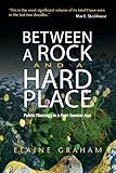 Between a rock and a hard place : public theology in a post-secular age