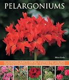Pelargoniums: An Illustrated Guide to Varieties, Cultivation and Care, With Step-by-step Instructions and over 170 Beautif...