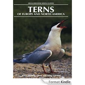 Terns of Europe and North America