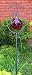 Gothic Ladybug Wrought Iron Sun Catcher Garden Stake with Red Hand Blown Glass Gazing Globe