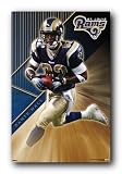 St Louis Rams Nfl Dante Hall Game Poster Football 4290