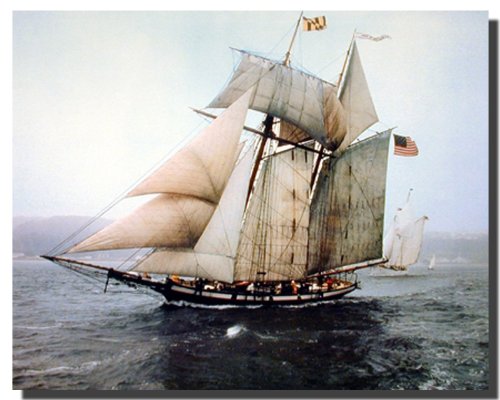 The Pride of Baltimore Sailing Vessel Sailboat Vintage Ship Wall Art Print Poster (16x20)