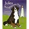 Lighthouse Books for Children: Picture Books