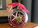 Mother's Day Gift Air Plant Tillandsia Starfish Glass Hanging Terrarium Beautiful Houseplant By Hinterland Trading