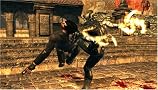 Dark Sector