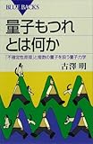 量子もつれとは何か　「不確定性原理」と複数の量子を扱う量子力学 (ブルーバックス)