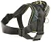 Dean & Tyler All Weather Dog Harness- Extra Small Size Nylon for Small Breeds Like Pug, French Bulldog Etc... Fits Girth 20 - 23 - Black with Yellow Trim for Everyday Use - Made in Europe !!!