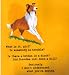 Search : Hallmark Musical Card HLY 310 Lassie