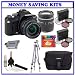 Olympus Evolt E-410 10 Megapixel Digital SLR Camera Kit with Olympus 14-42mm f3.5-5.6 Zuiko Digital Lens, and Olympus 40-150mm F4.0-5.6 Zuiko Digital Lens (262042) + Olympus E-System Travel D-SLR Gadget Bag (260248) + Willoughby's 4GB CF Travelers Kit