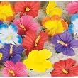 Tropical Flowers for Tabletop Decoration (24)