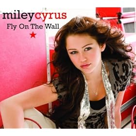 Fly On The Wall