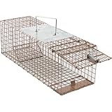 Kness Kage-All Live Animal Cage Trap - Squirrel Trap, Model# 151-0-004