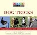 Knack Dog Tricks: A Step-by-Step Guide to Teaching Your Pet to Sit, Catch, Fetch, & Impress (Knack: Make It easy)