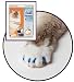 Feline Soft Claws Cat Nail Caps Take-Home Kit, Large, Blue